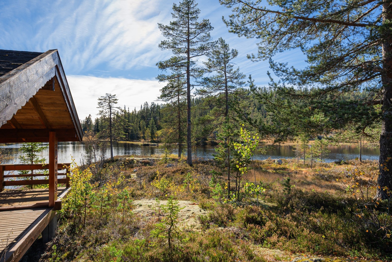 Mange koselige sitteplasser på tomten. Galleribilde