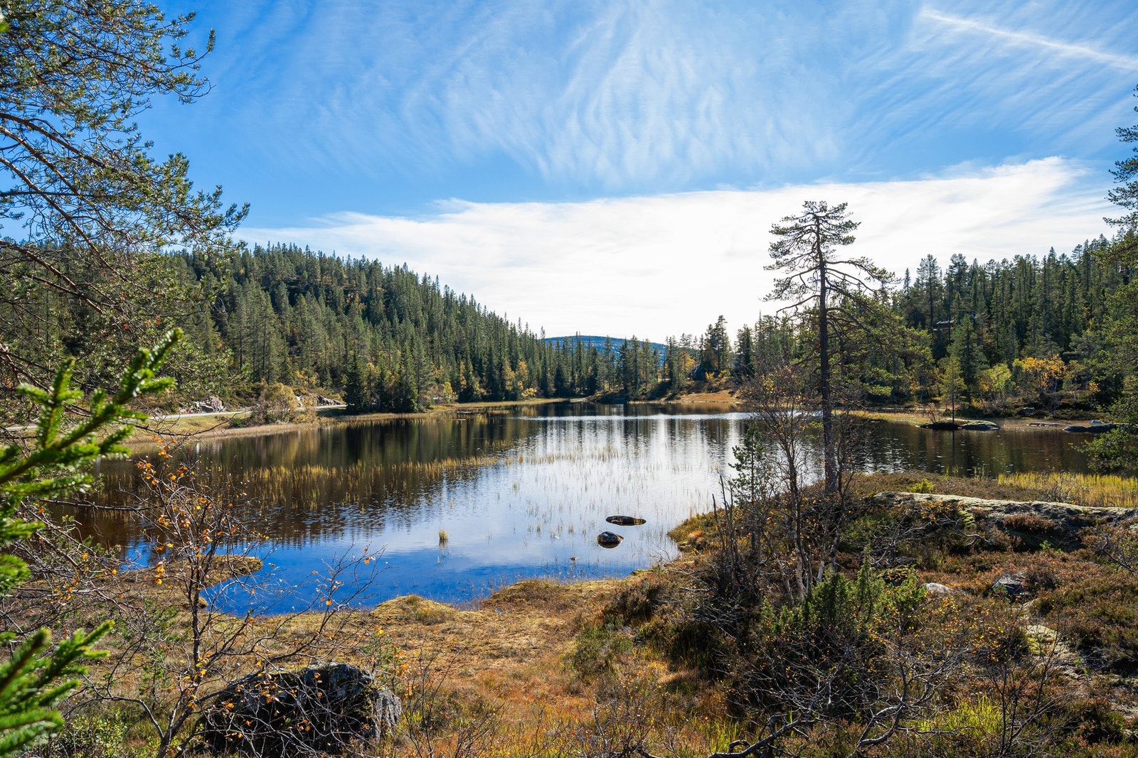 Naturskjønne omgivelser med flotte turmuligheter rett utenfor døren, perfekt for deg som søker ro, naturopplevelser og kvalitetstid med familien. Galleribilde