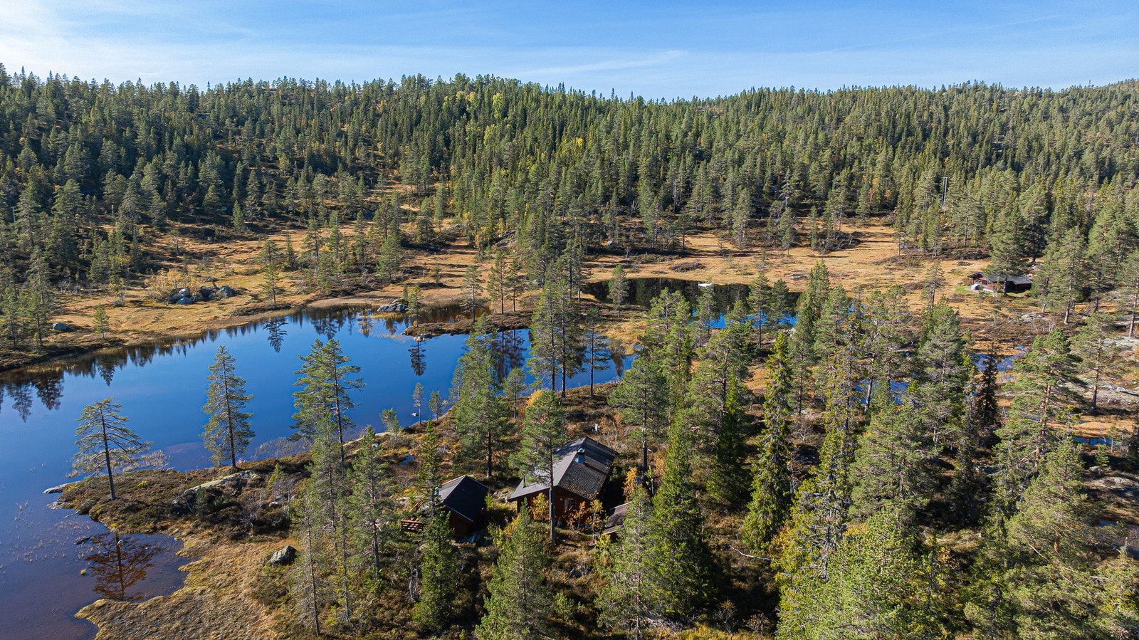 Velkommen til Birtedalsvegen 1981! En flott hytte med naturskjønn beliggenhet. Galleribilde