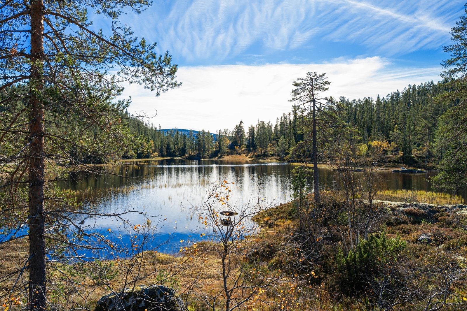 Solrik og fredelig beliggenhet ved vakre Ljosdalstjønn. Galleribilde