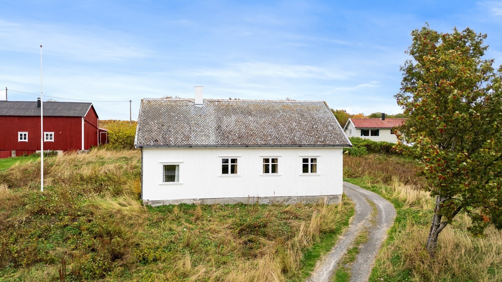 Område Galleribilde