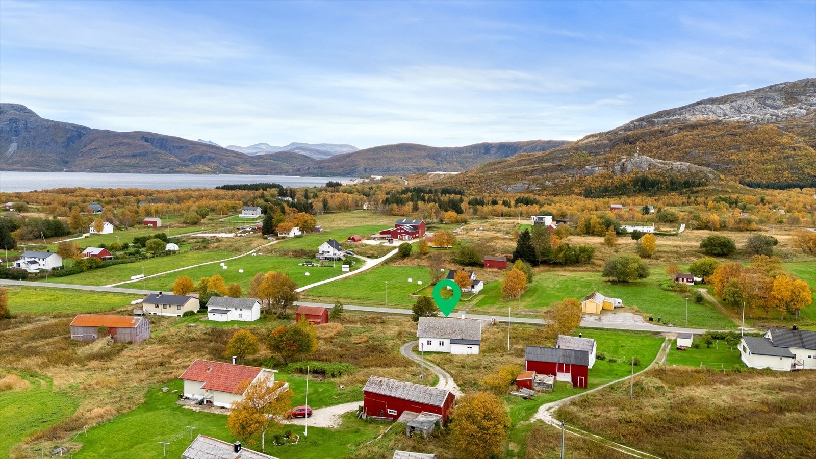 Område Galleribilde