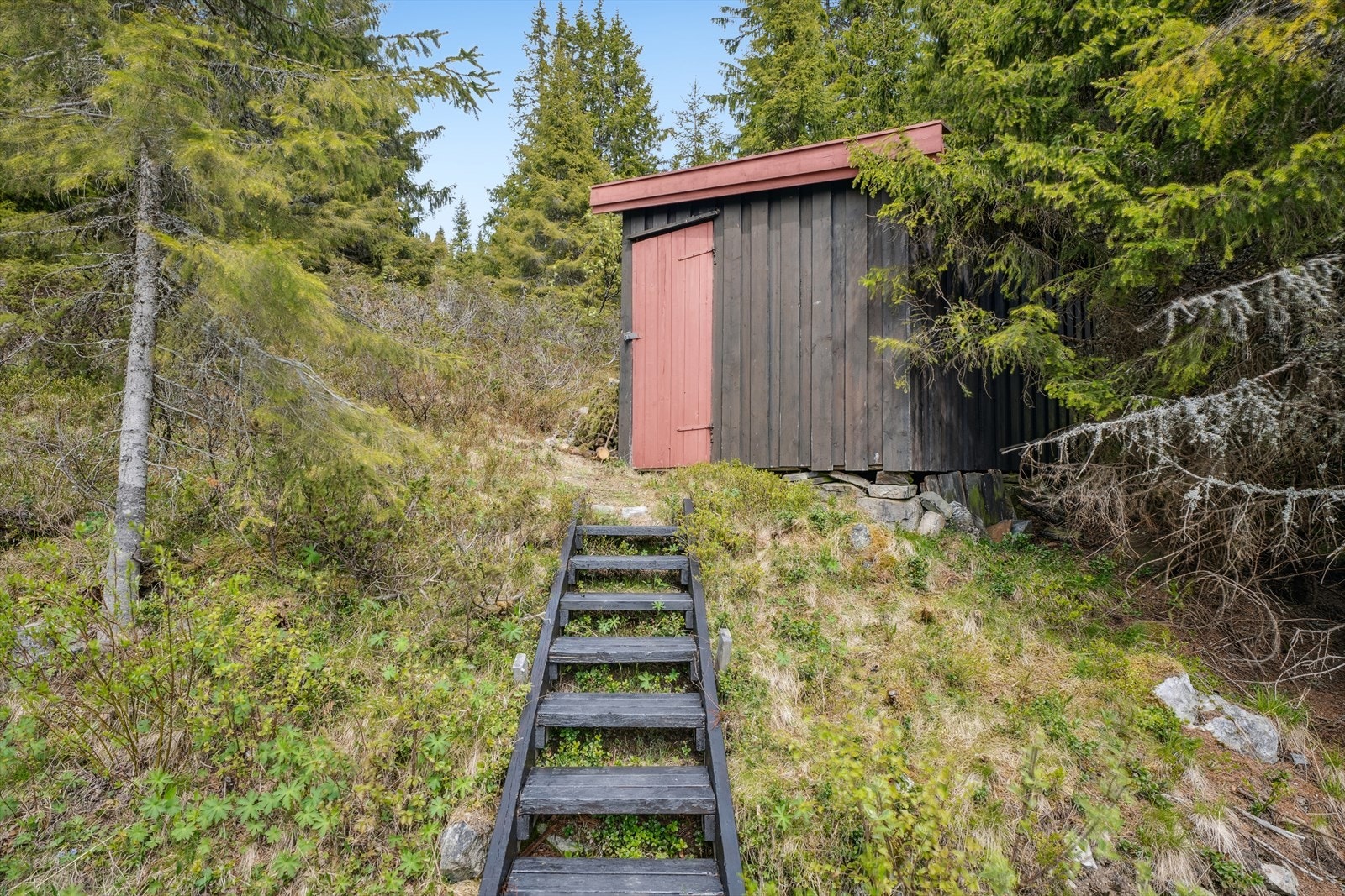 Uthus på ca. 6 kvm Galleribilde