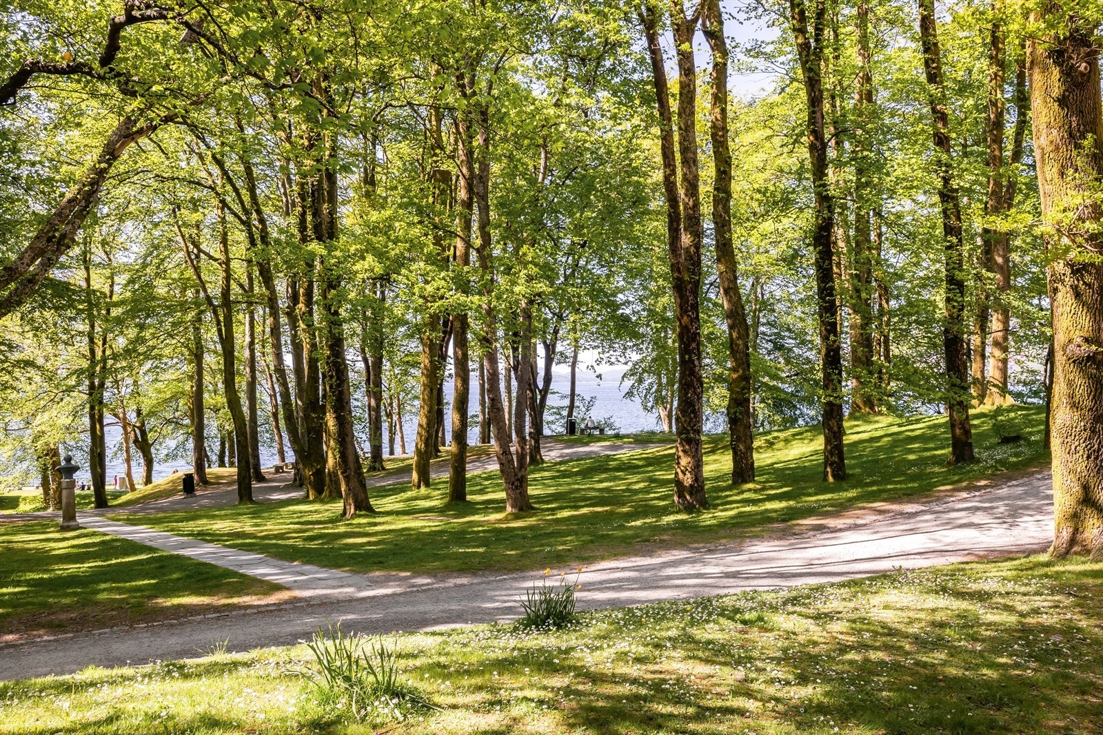 Nordnesparken gir deg flotte grøntarealer til rekreasjon, som er perfekt for rolige spaserturer, grilling med venner, eller et friskt bad om sommeren. Her ligger også kunstgressbane og innendørshall. Galleribilde
