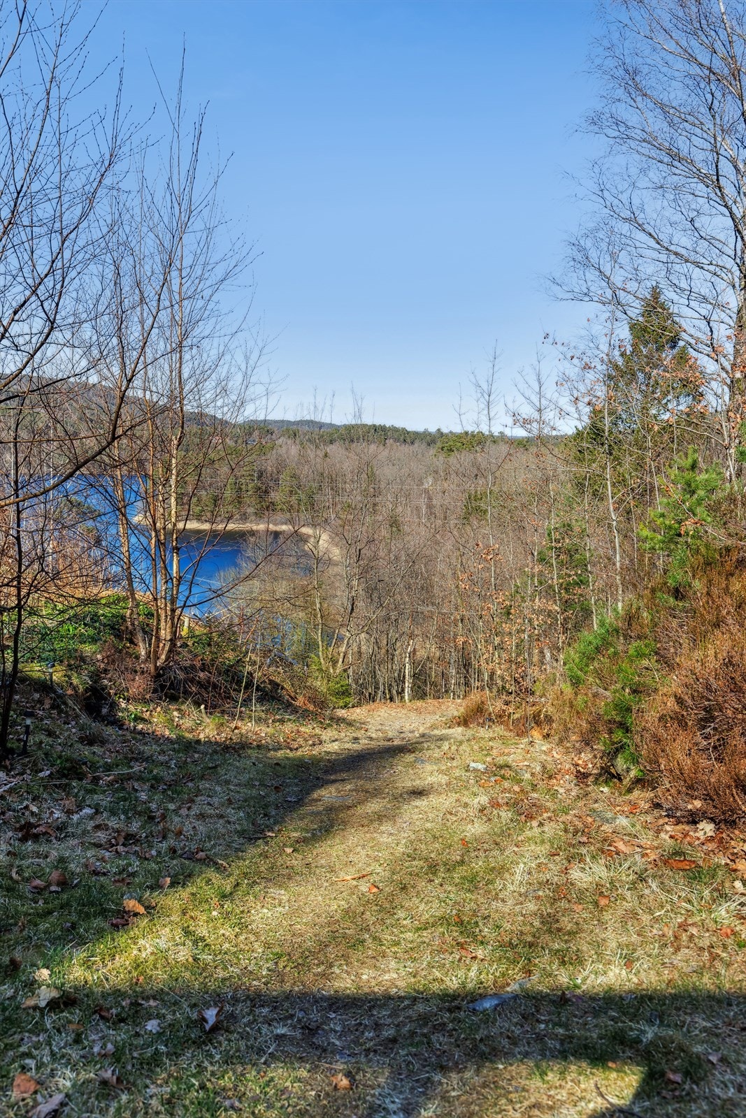 Sti/vei til hytta. Galleribilde