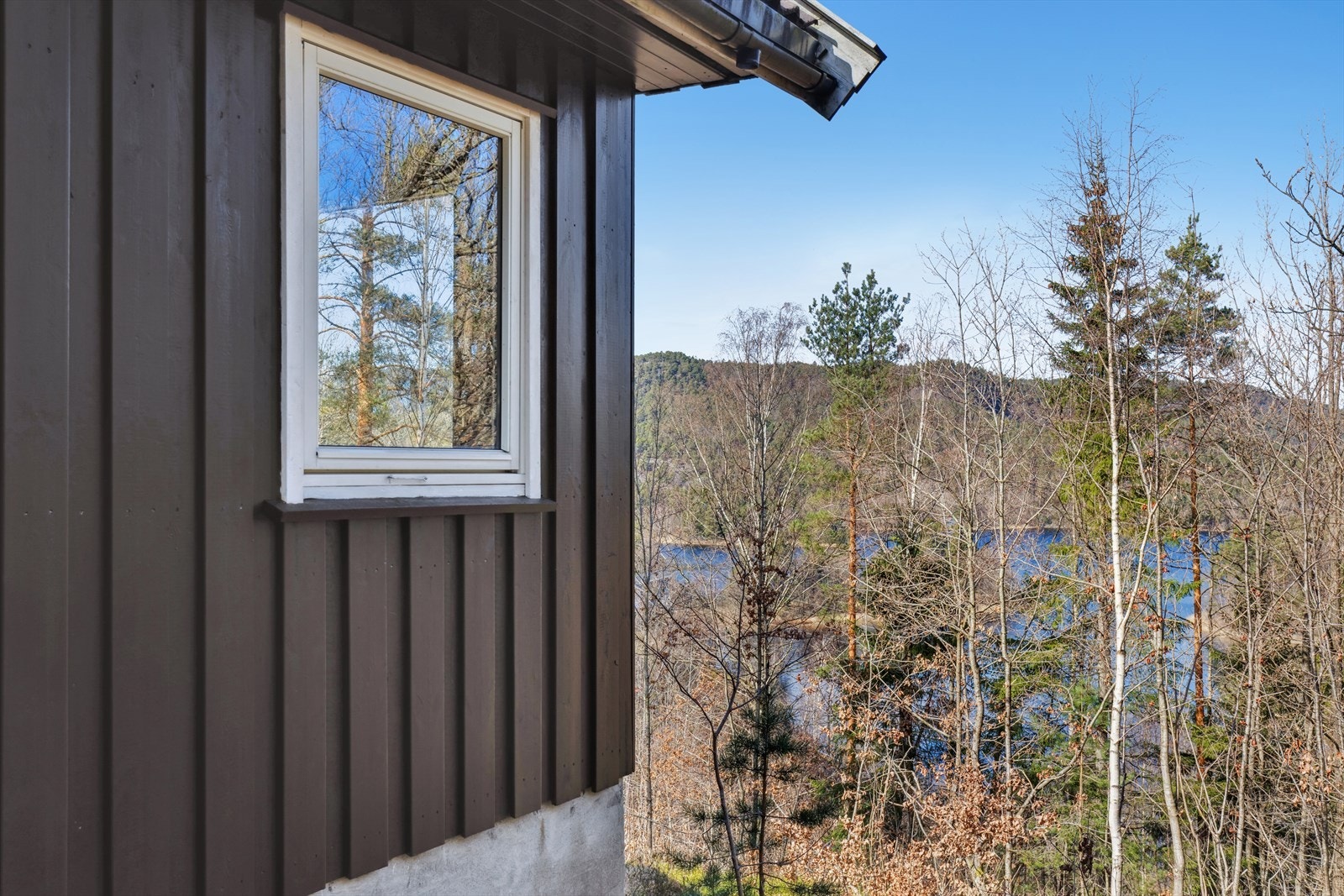 Utsikt. Synlige trær mellom hytten og vannet er på egen tomt og kan fjernes om ønskelig av ny eier. Galleribilde