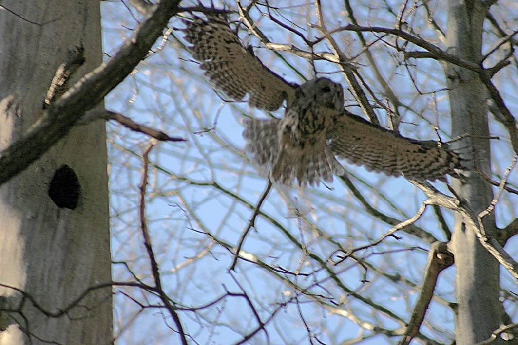 Privat bilde Galleribilde