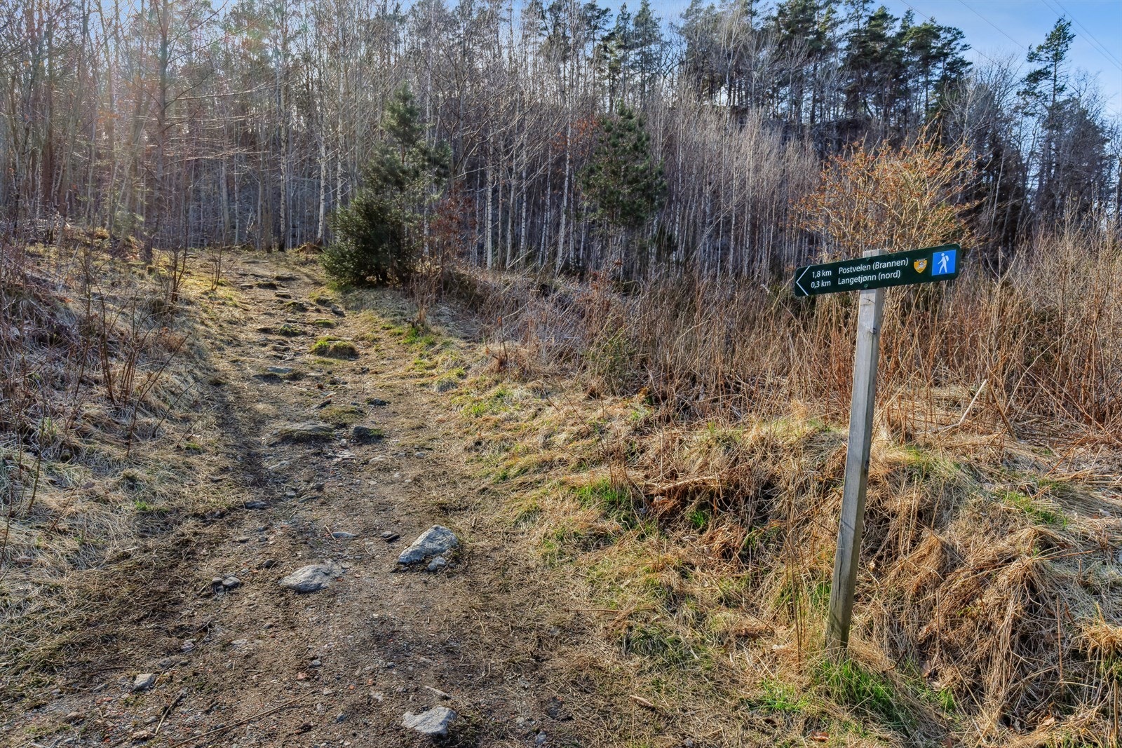 Sti like ved hytta og inn til et fantastisk løypenett. (Kan også gå direkte fra hytta) Galleribilde