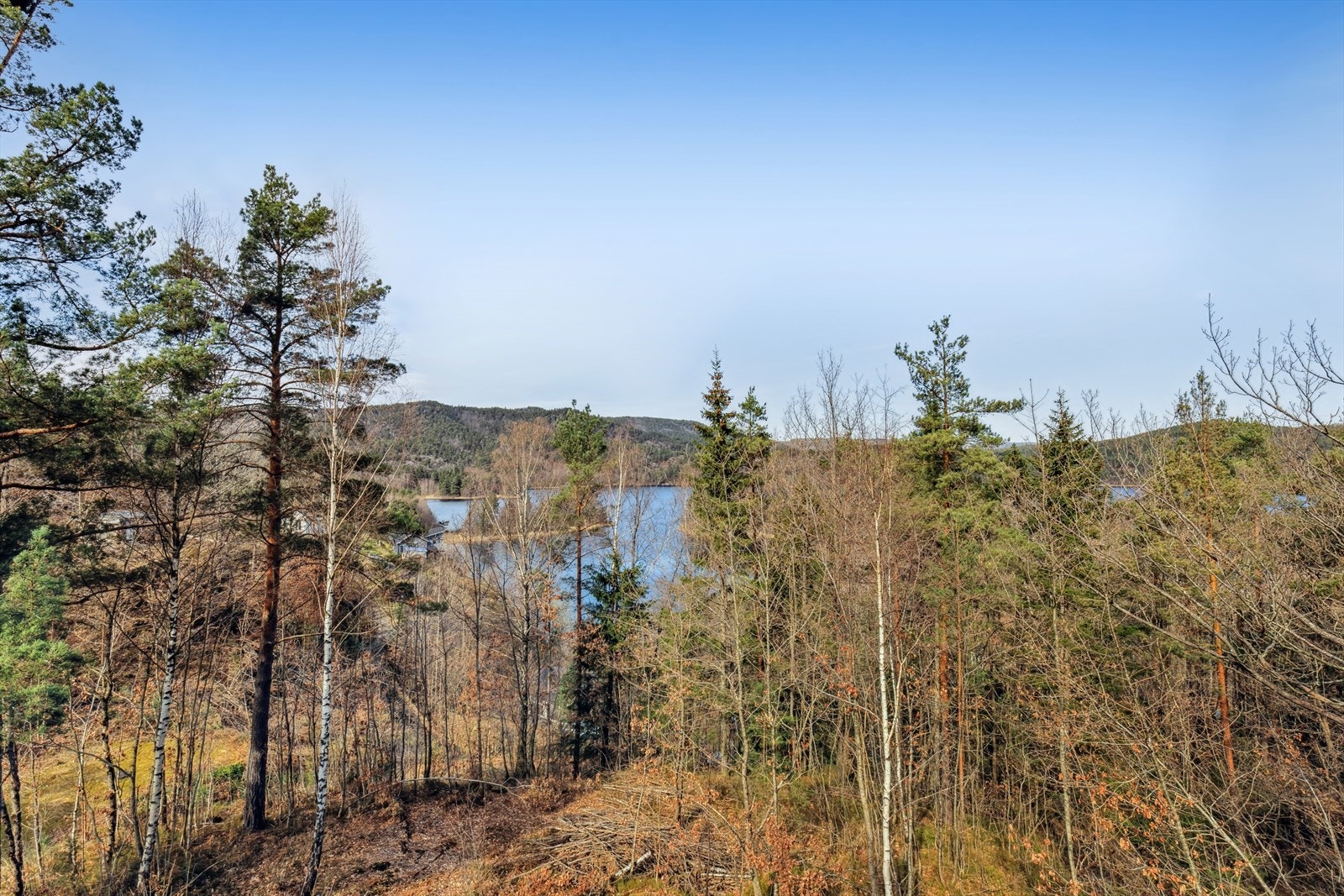 Utsikt. Synlige trær mellom hytten og vannet er på egen tomt og kan fjernes om ønskelig av ny eier. Galleribilde