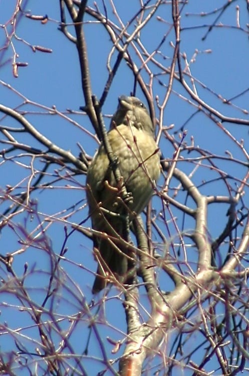 Privat bilde Galleribilde