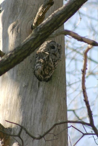 Privat bilde Galleribilde