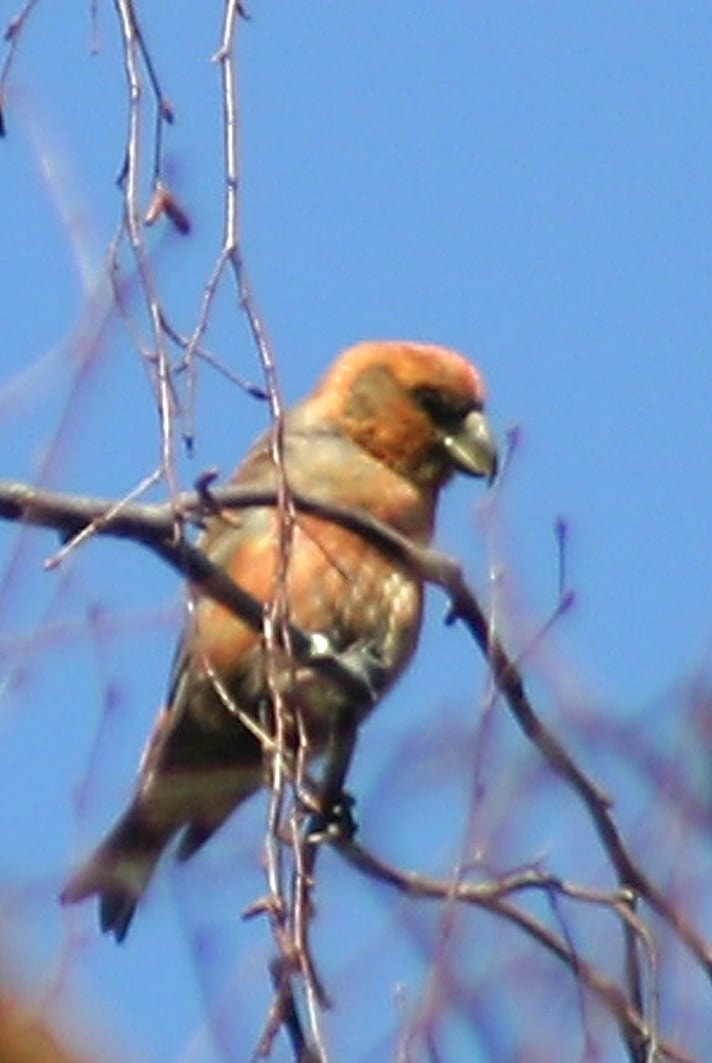 Privat bilde Galleribilde