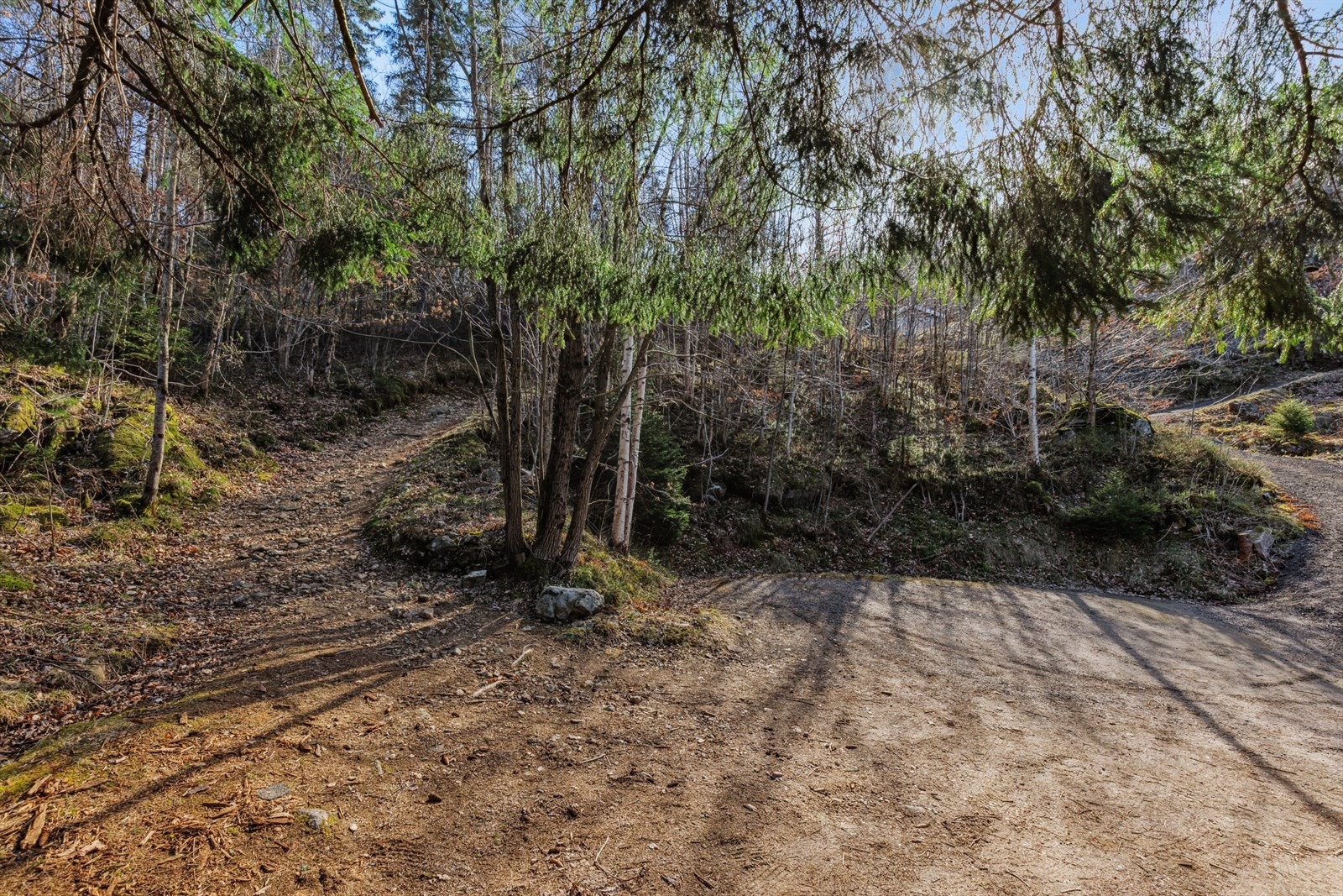 Sti opp til hytta fra parkering. Galleribilde