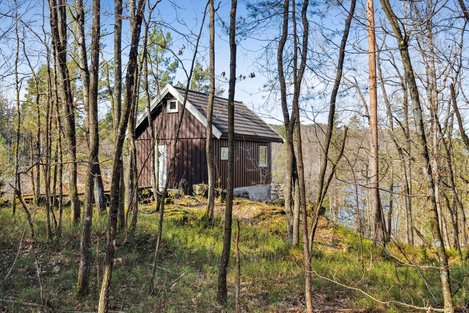 Hytta er omgitt av nydelig natur. Galleribilde