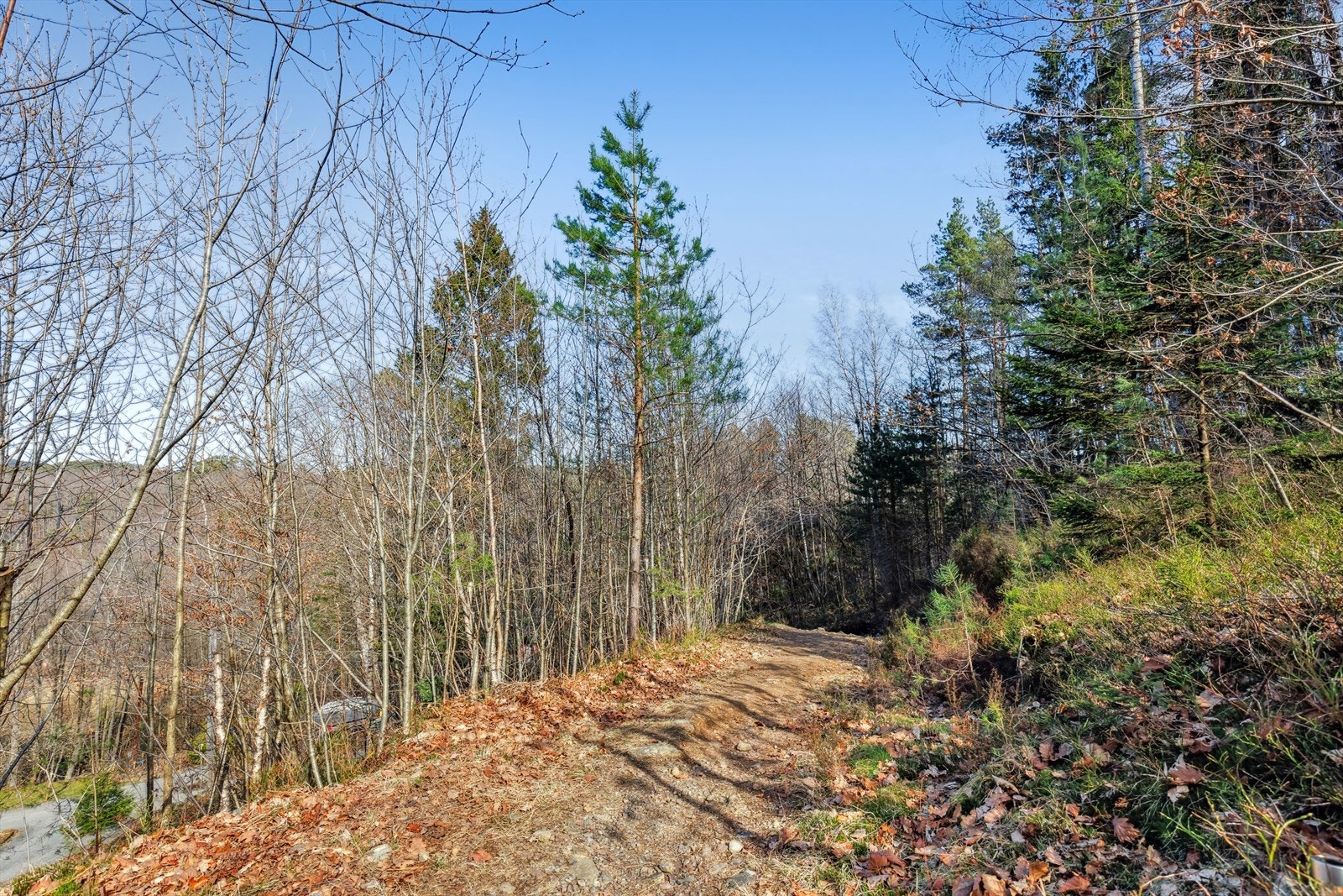 Fin sti/vei opp til hytta. Galleribilde