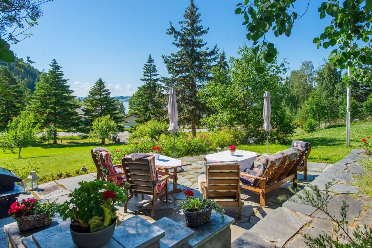 Sommeridyll! Galleribilde