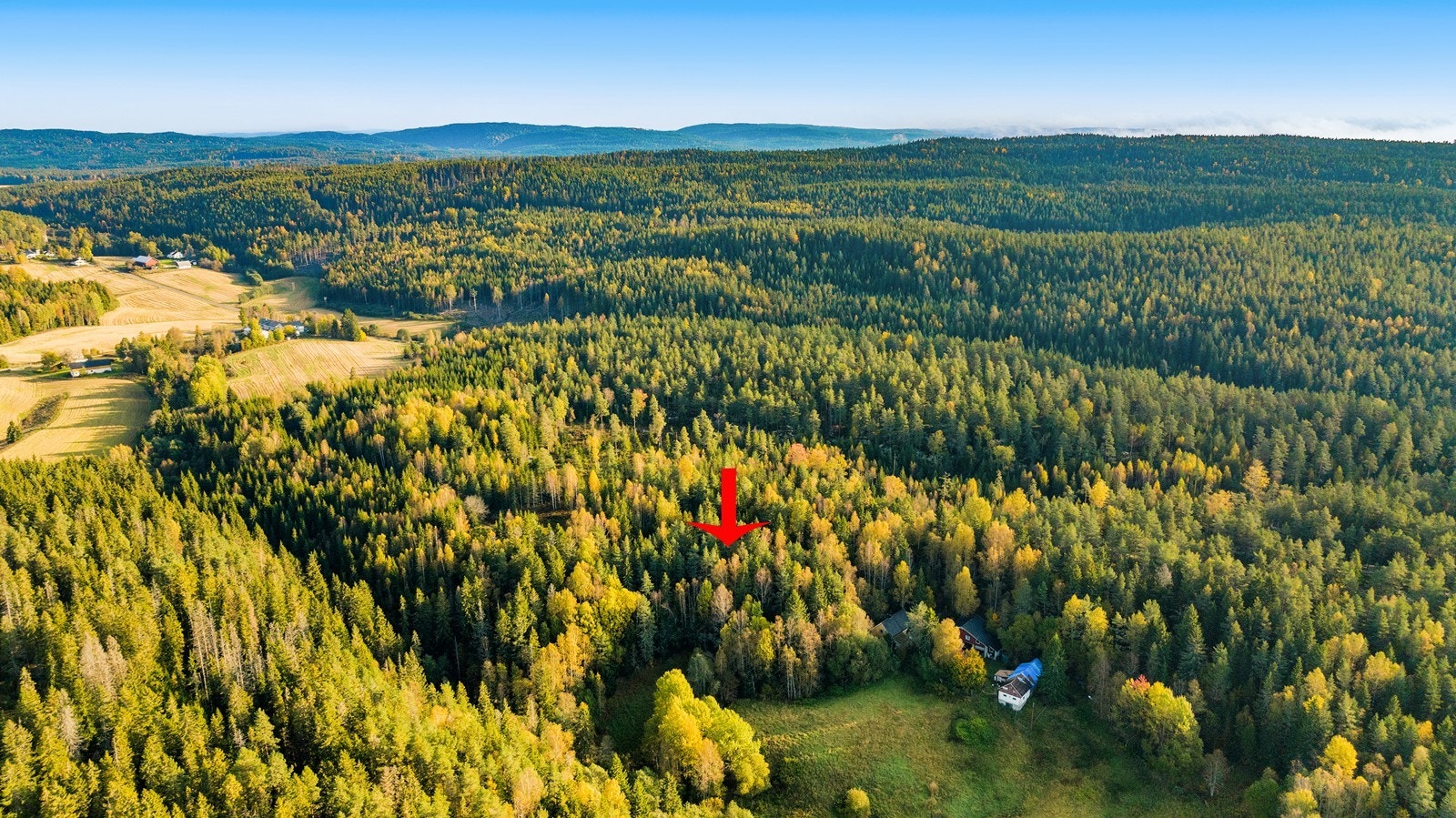 God oversikt over tomten og nærliggende natur. Galleribilde