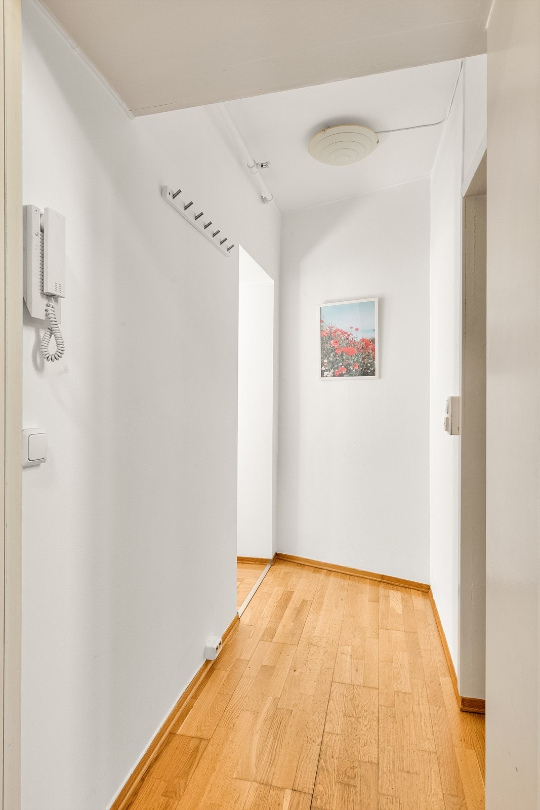 Lys og innbydende gang. Dørcalling til høyre for døren så du enkelt kan slippe inn gjester. Galleribilde