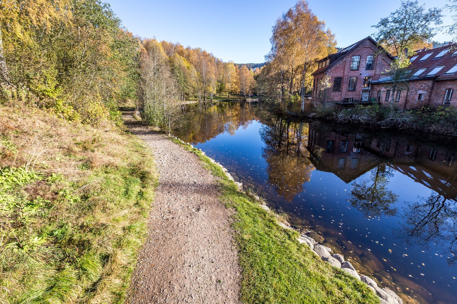 Sagadammen Galleribilde