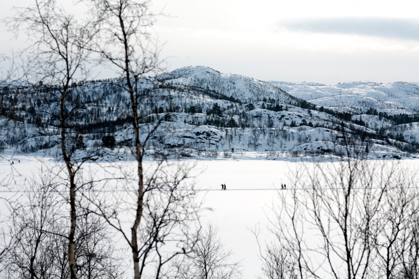 Bilder fra Haukeli vinter Galleribilde