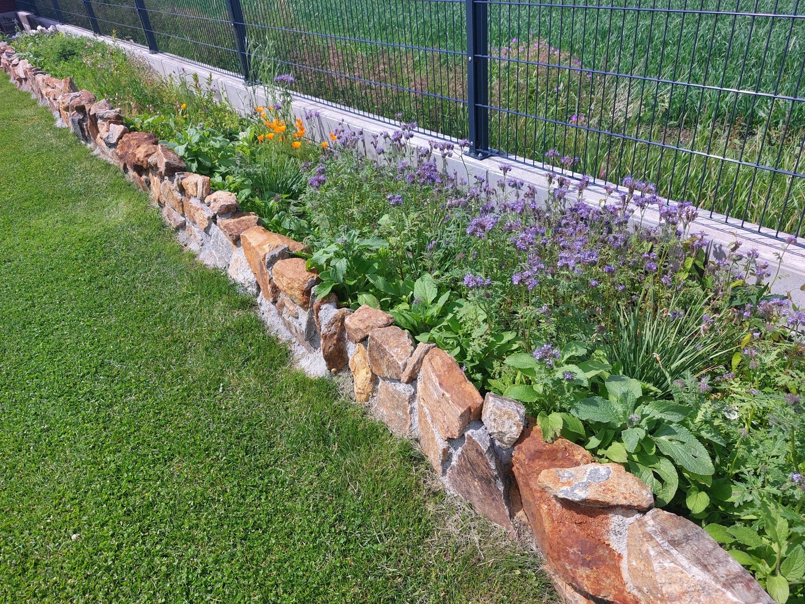 Selgers private bilde av hagen i blomstring Galleribilde