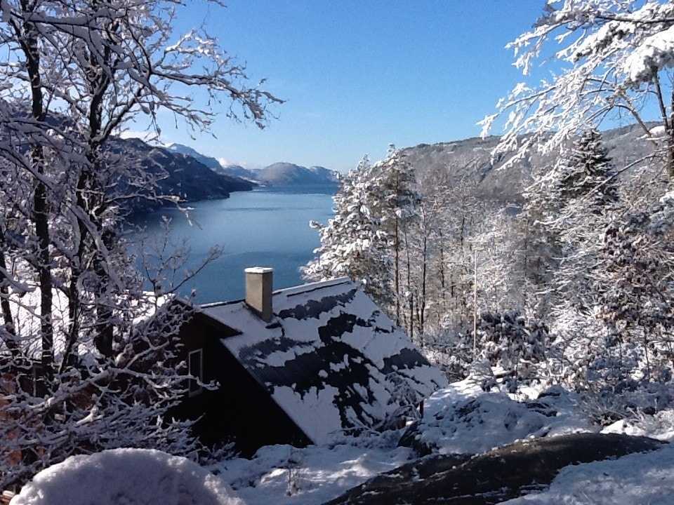 Utsikt vinter Galleribilde