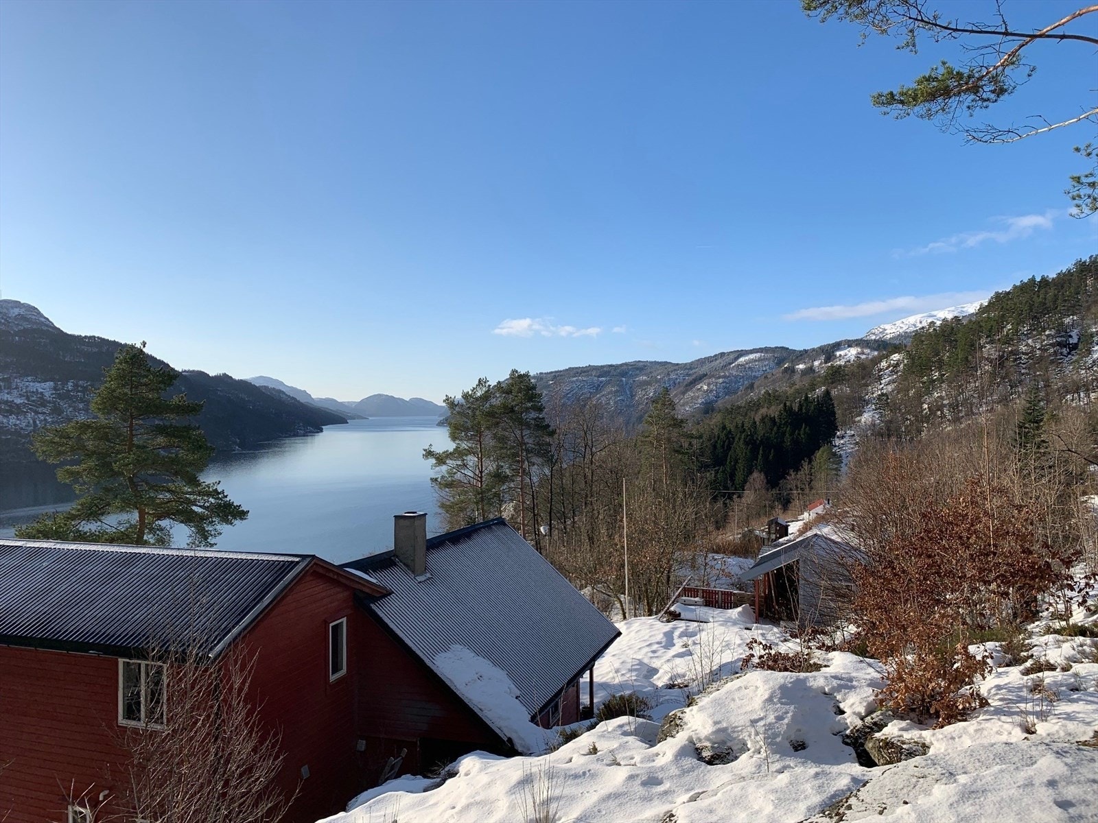 Utsikt vinter Galleribilde