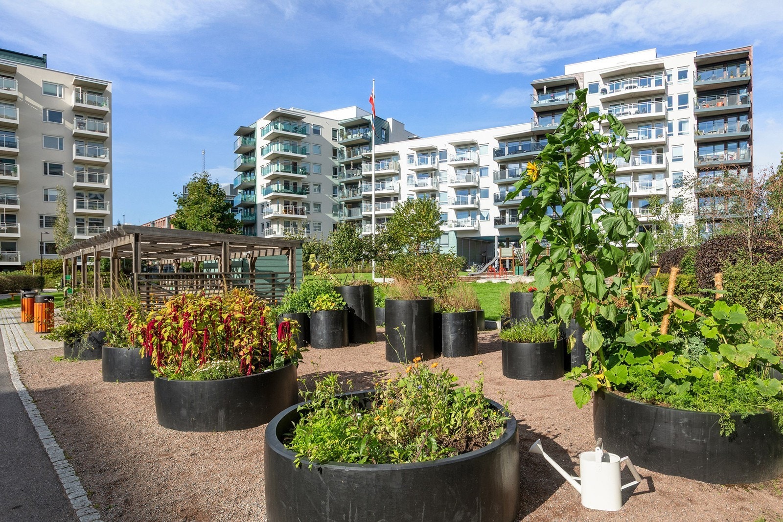 Her dyrkes det blomster, urter og grønnsaker Galleribilde