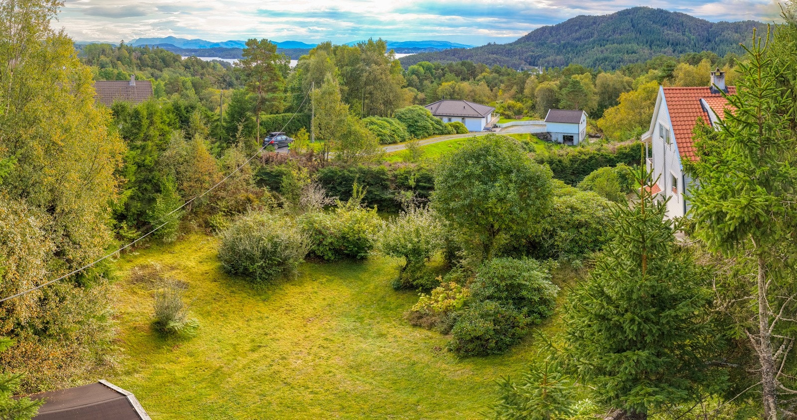Relativt flat naturtomt med privat stikkvei, gress busker og trær Galleribilde