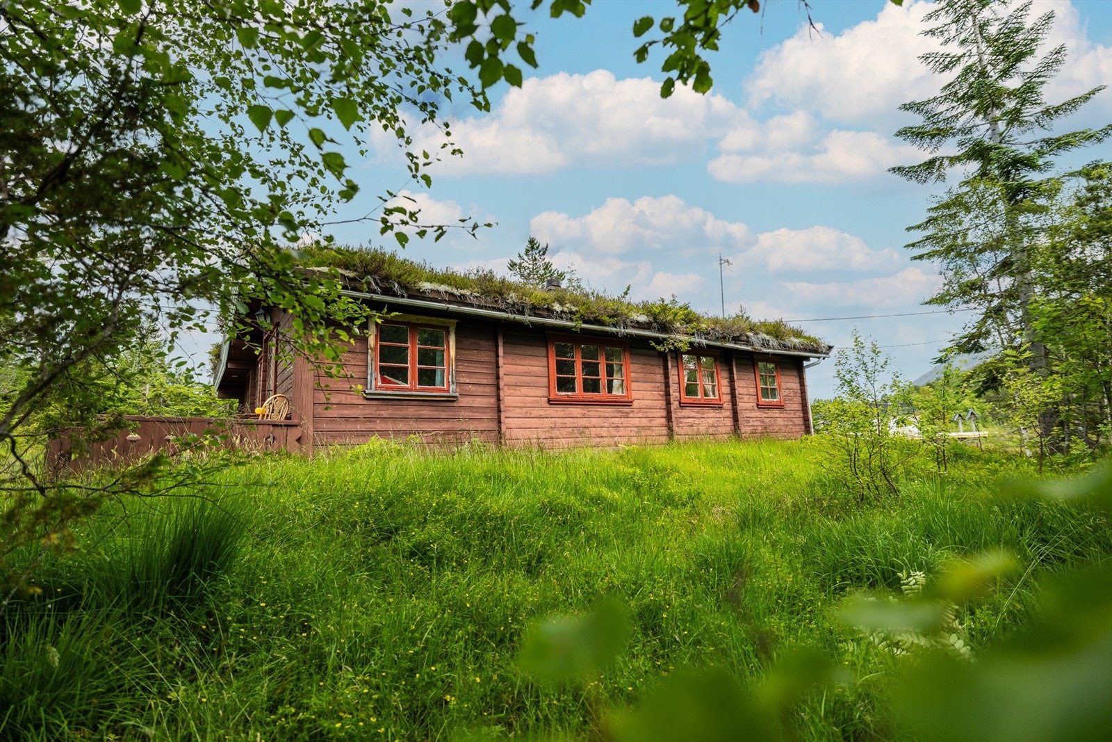 Velkommen til visning! Galleribilde