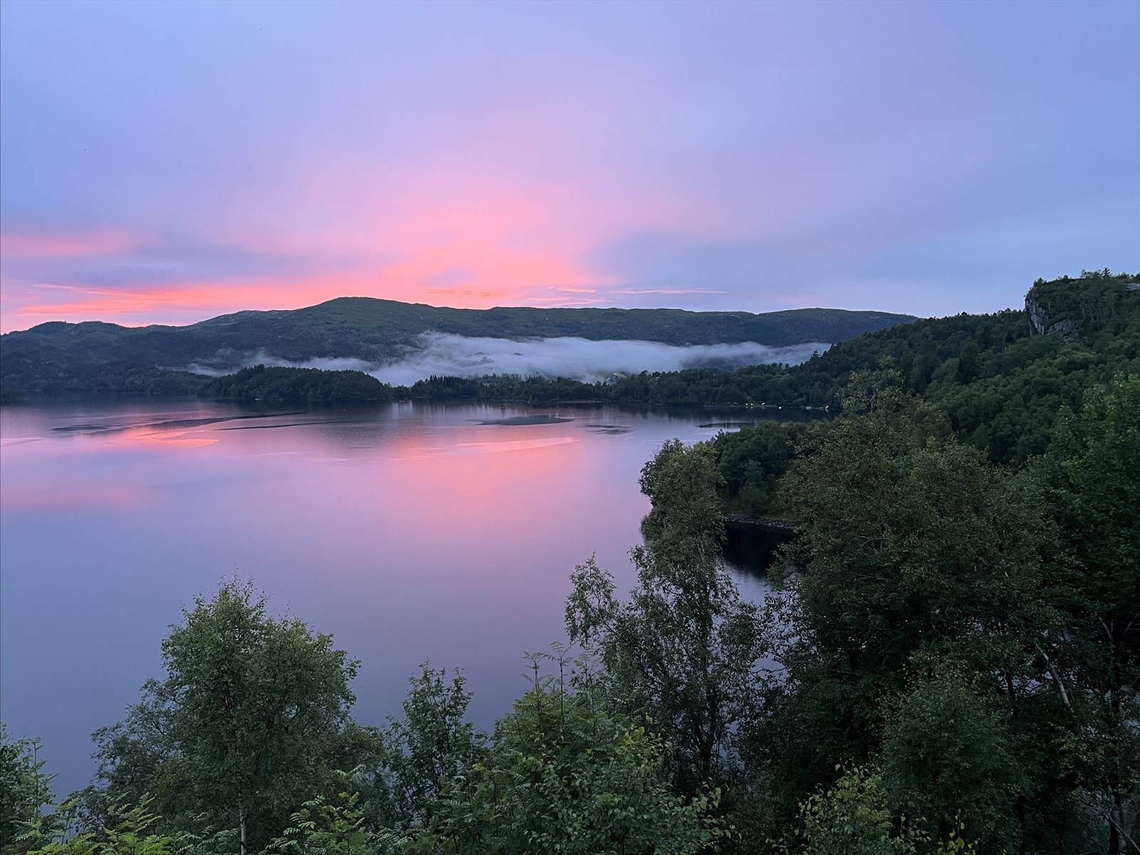 Frå selgars arkiv Galleribilde