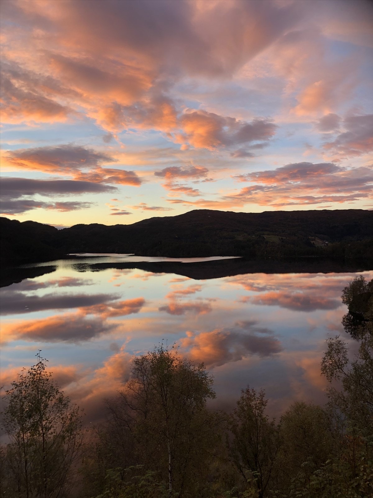 Frå selgars arkiv Galleribilde