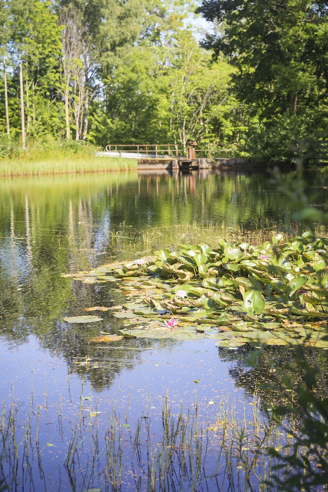 Nærmiljø Galleribilde