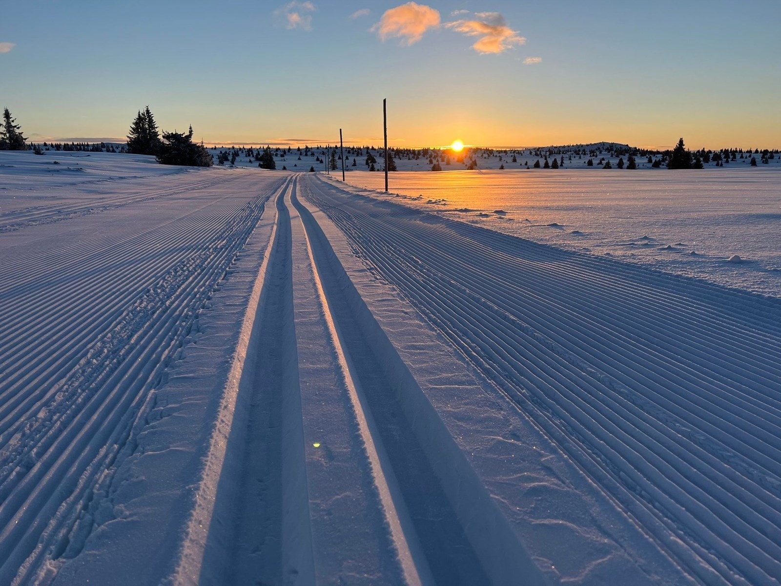 Flere mil med nydelige skispor. Galleribilde