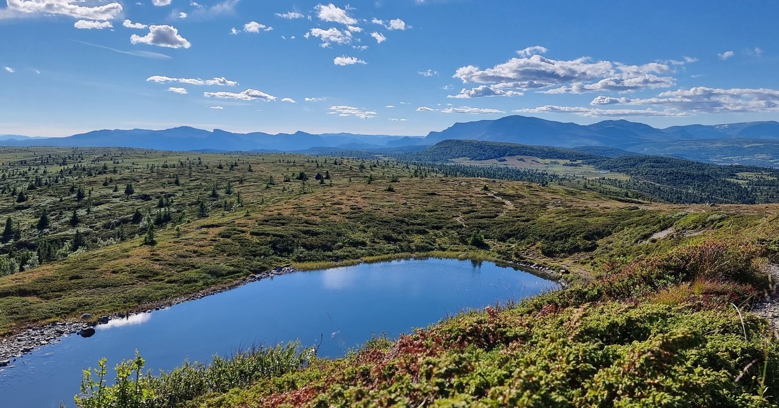 Pengetjedn - Foto Tone Gaåsbakk Galleribilde