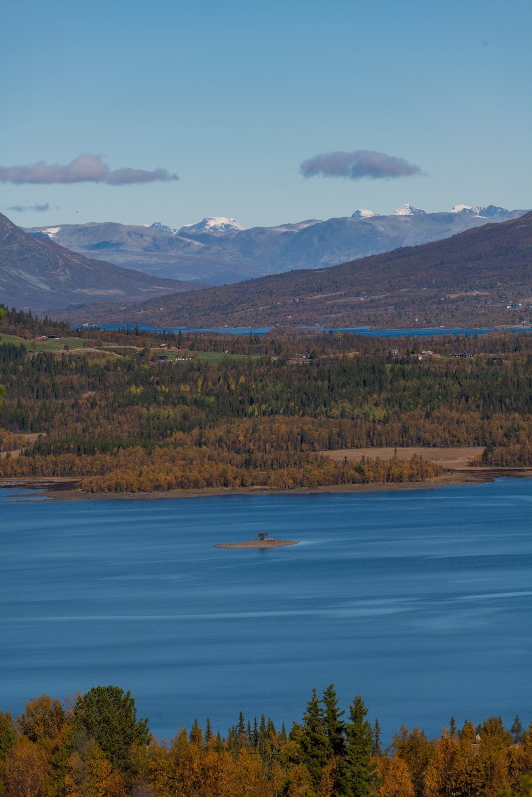 Tisleia like ved og Jotunheimen i horisonten. Galleribilde