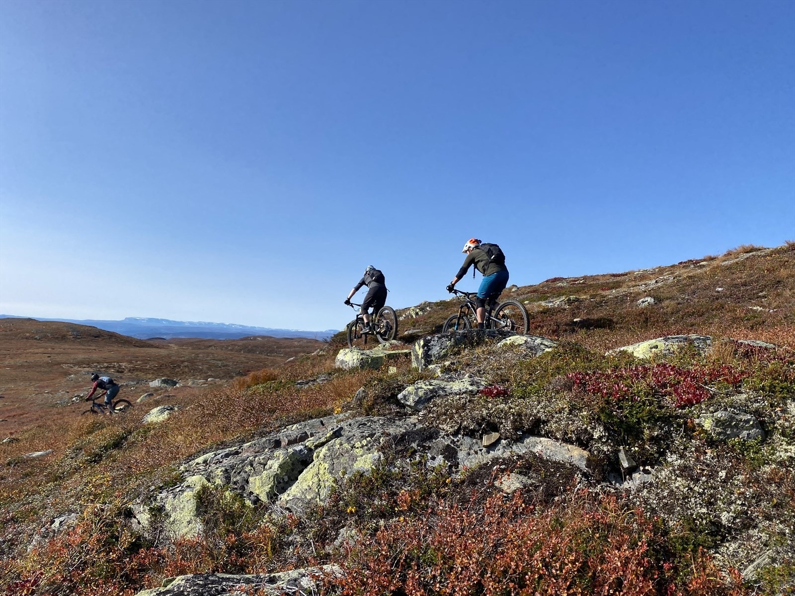 Golsfjellet er et unikt område for mange flotte sykkelturer - om det er på stier eller veier. Galleribilde