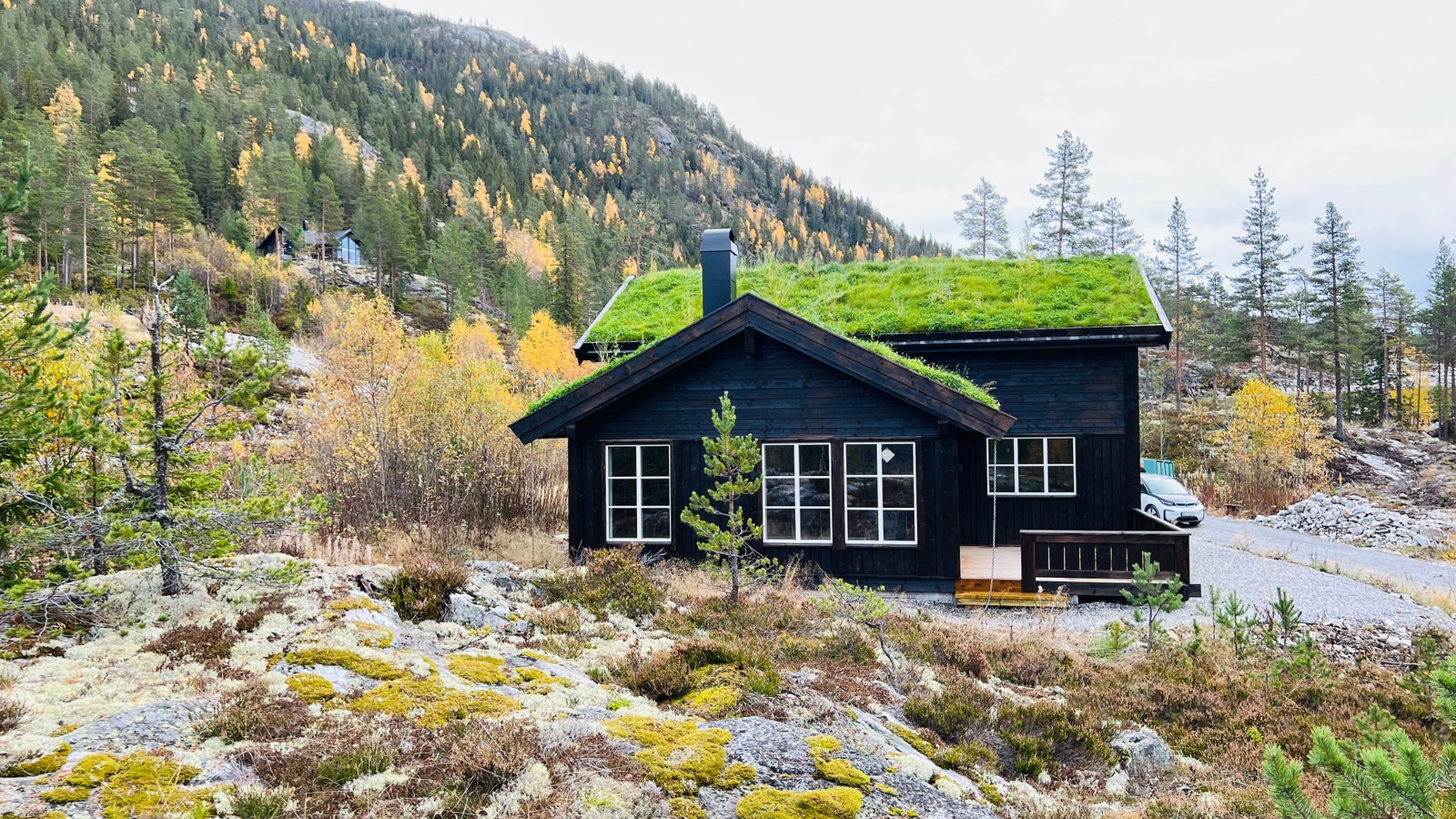 Buen Hytta Tiur Galleribilde