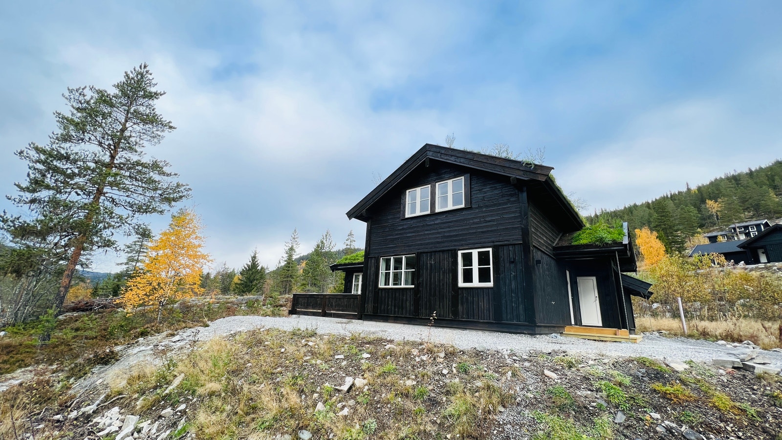 Buen Hytta Tiur Galleribilde