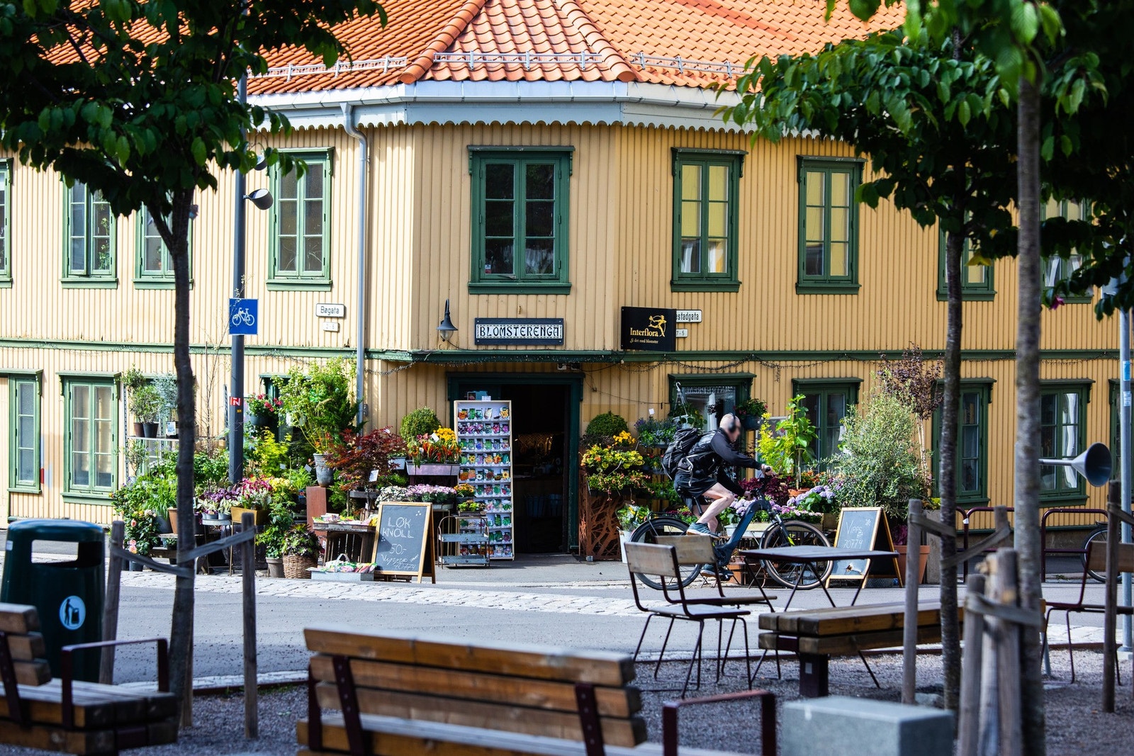 Nærområdet. Galleribilde