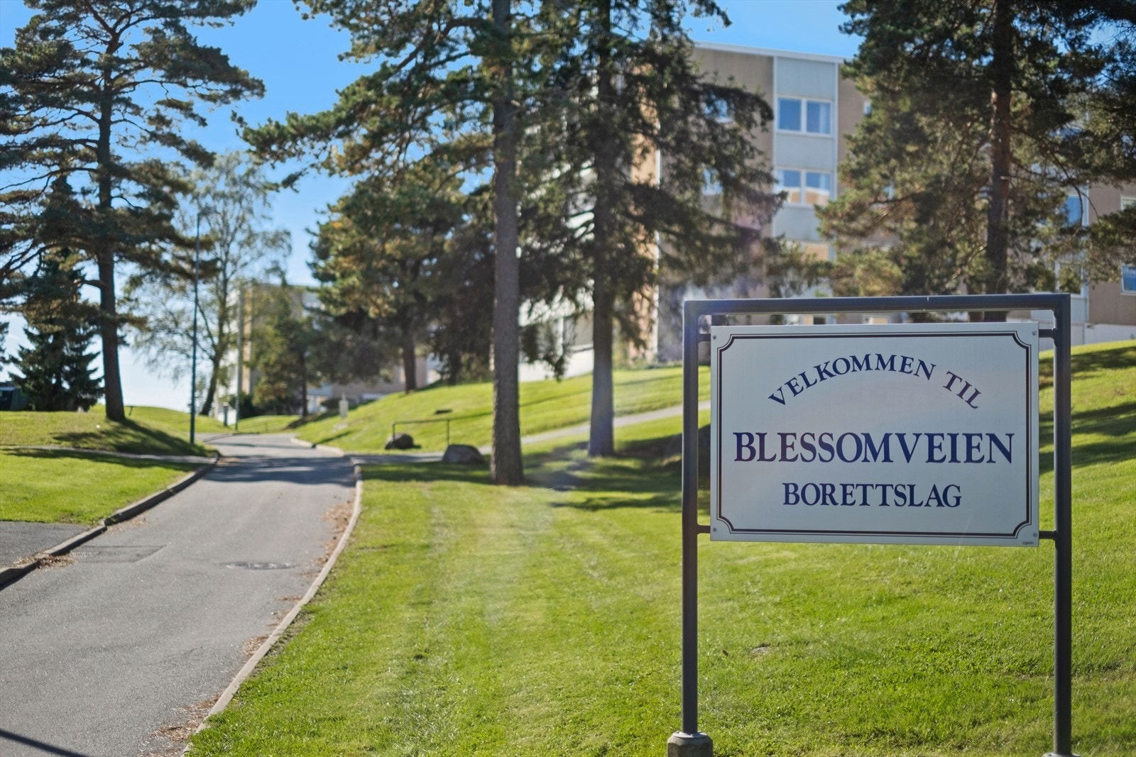 Velkommen på visning! Galleribilde