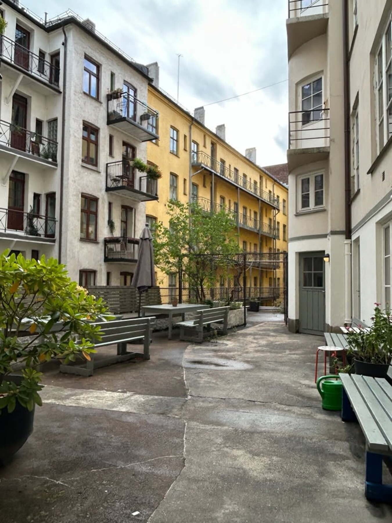 Aksjelaget har en velholdt og hyggelig bakgård. Galleribilde