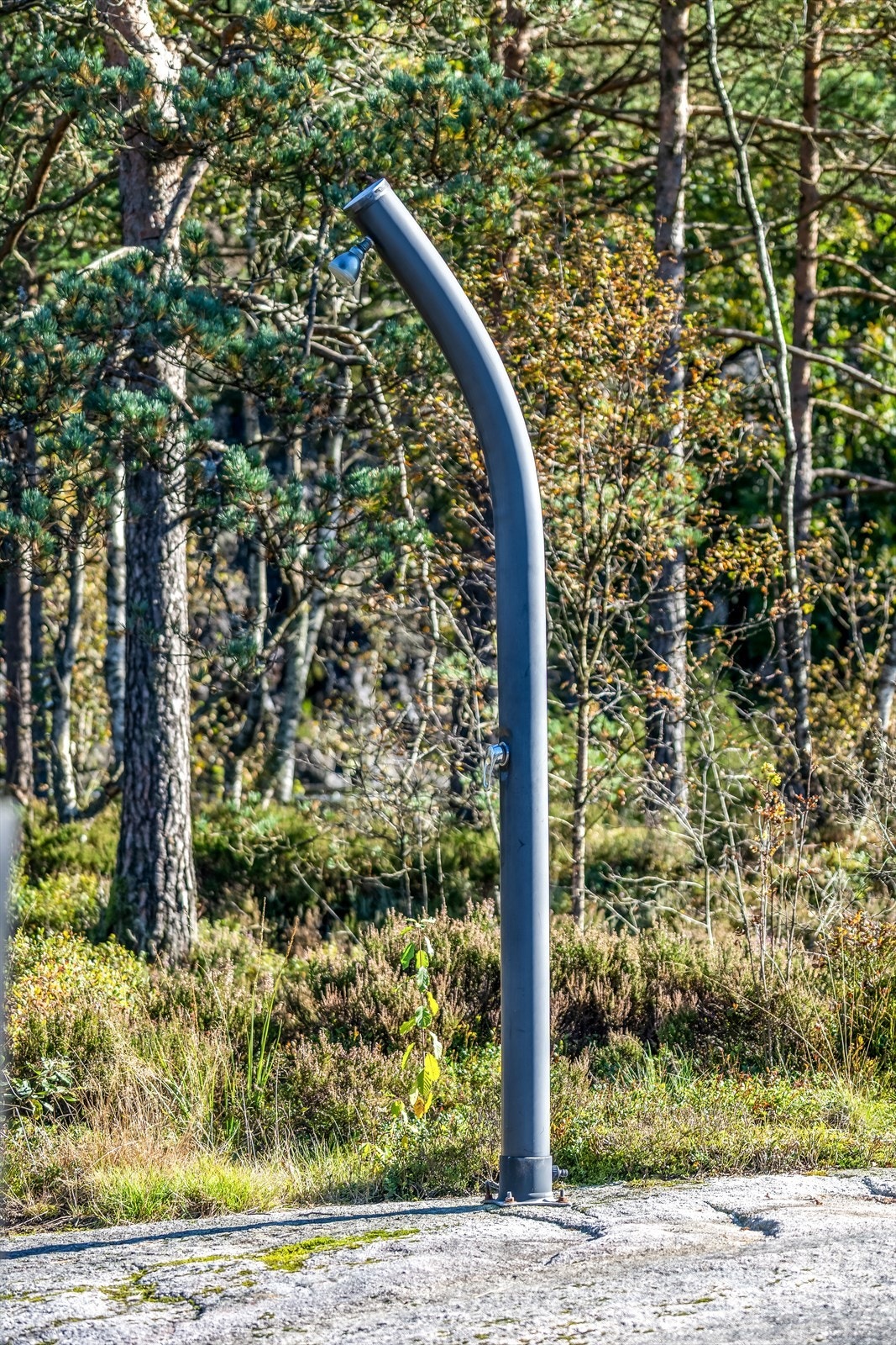 Utedusj i fri natur. Galleribilde