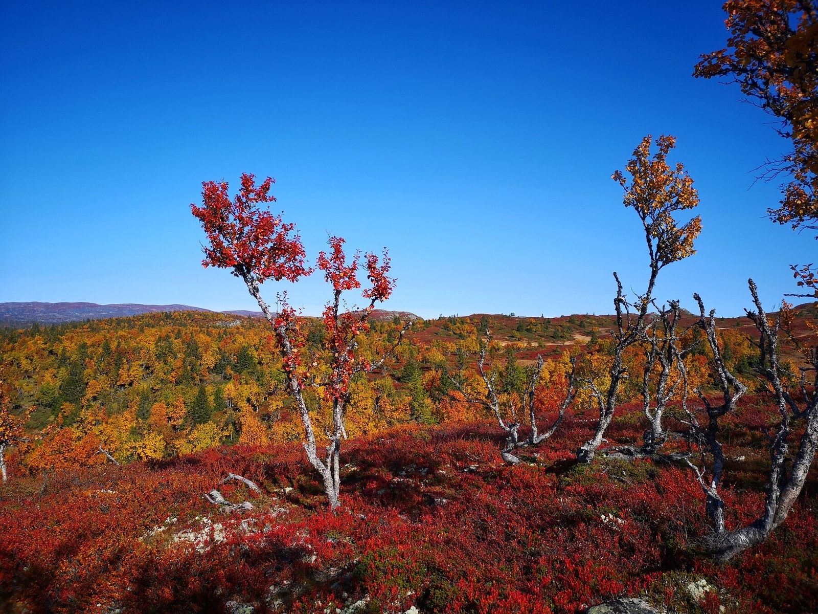 Høsten er vakker i dette området! Galleribilde