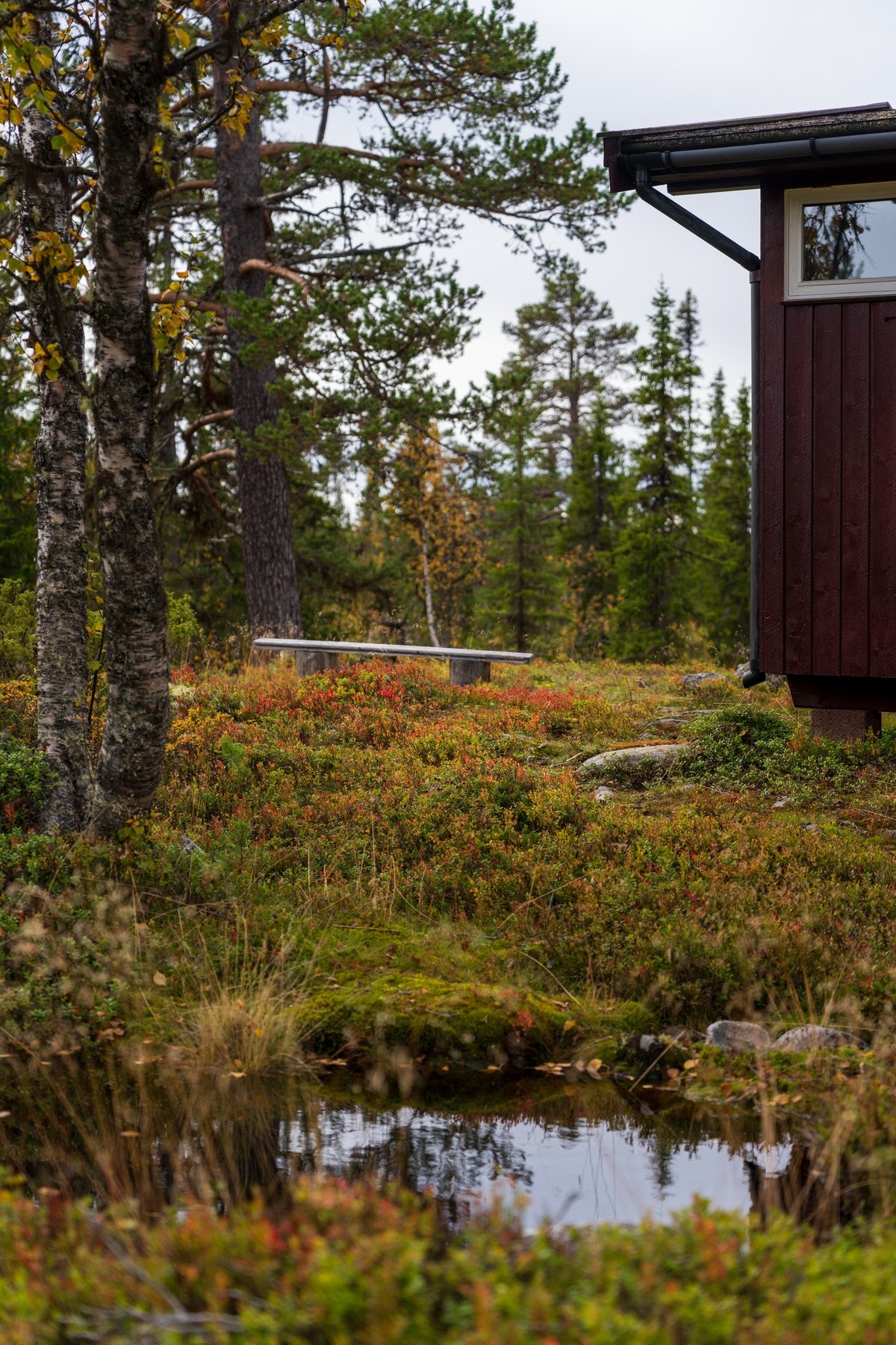 Naturopplevelser alle årstider. Galleribilde