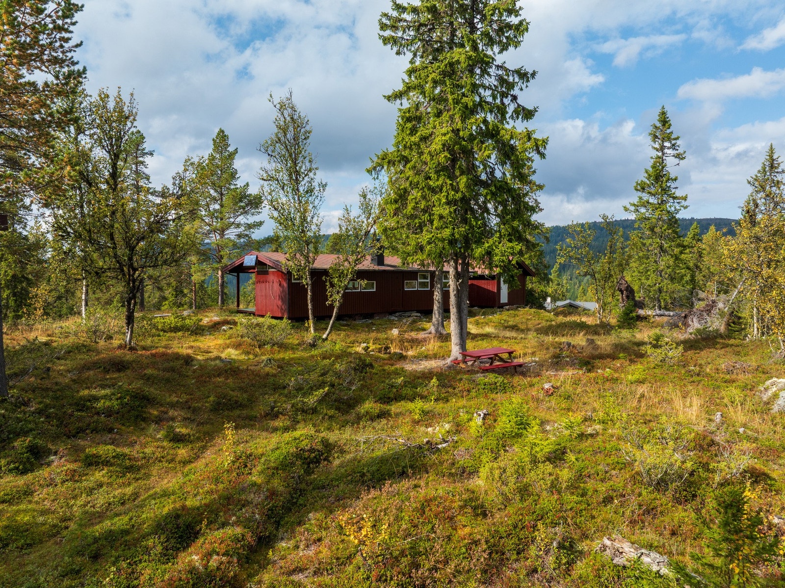 Naturskjønt område. Galleribilde
