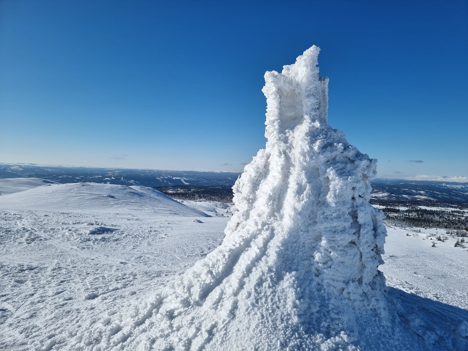 Vardefjell Galleribilde