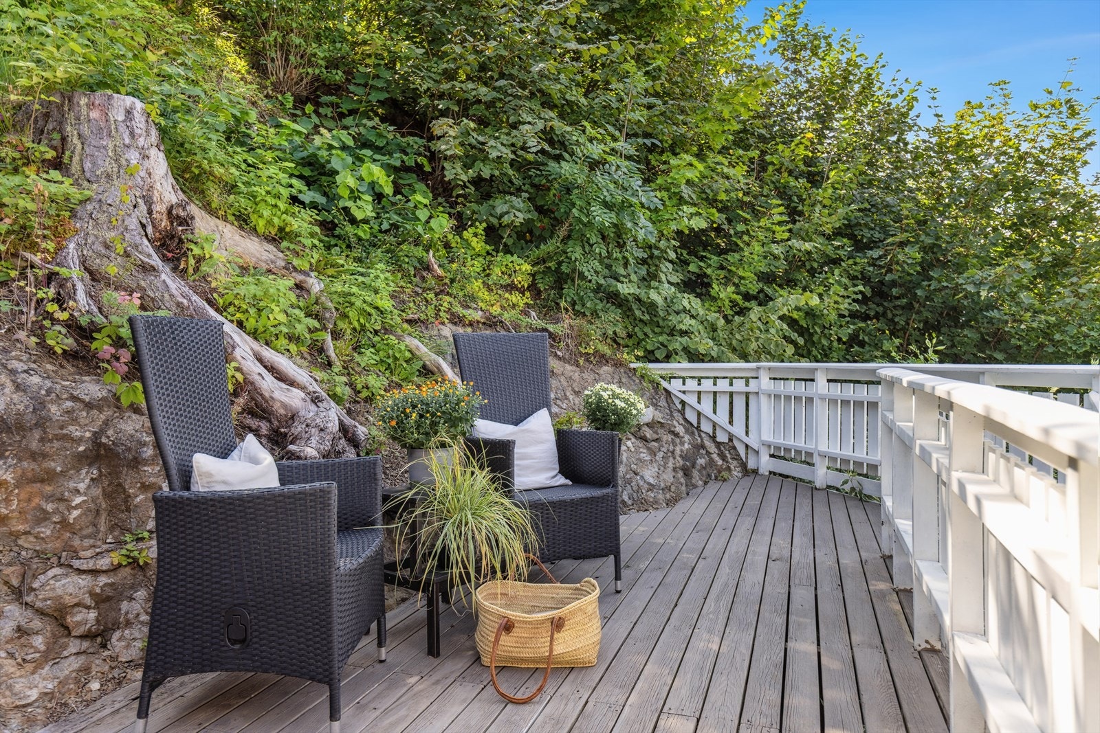 Vestvendt med kveldssol. Galleribilde