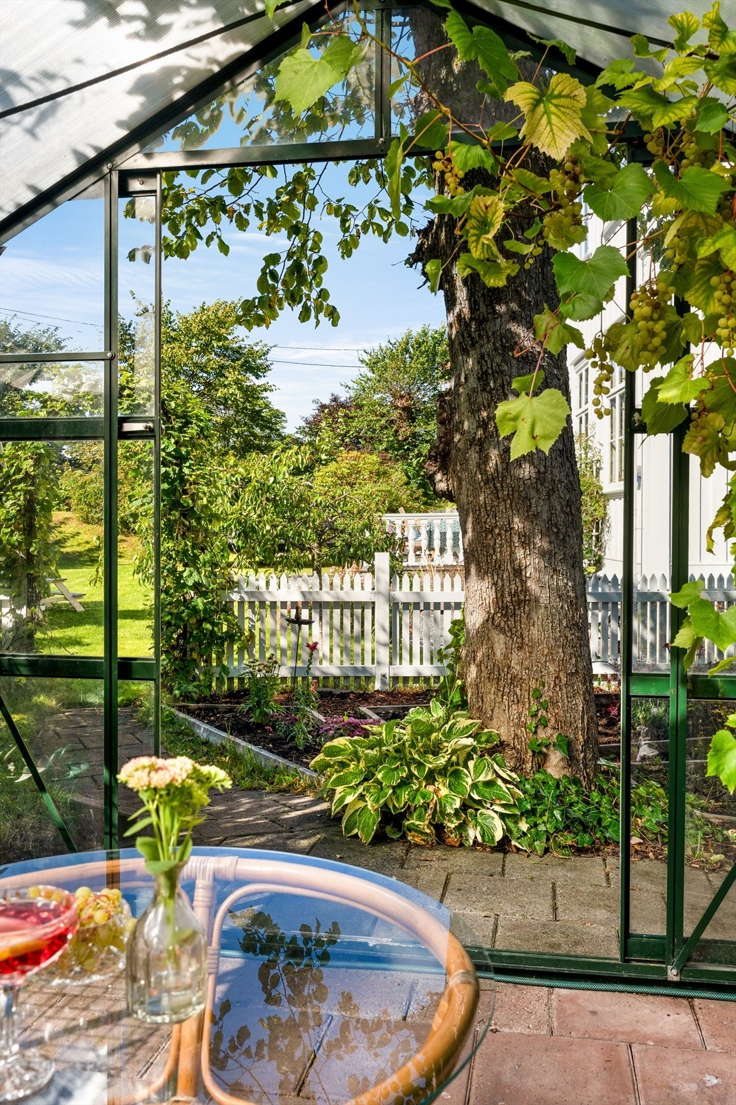 Drivhus for de voksne Galleribilde