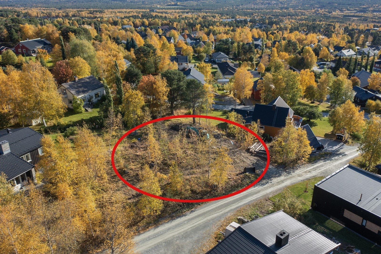 Oversiktsbilde Galleribilde